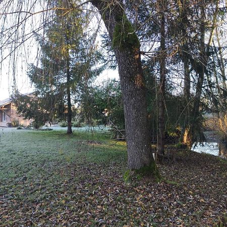Gite Des Viviers -08400 Manre - De 1 A 2 Personnes Zewnętrze zdjęcie